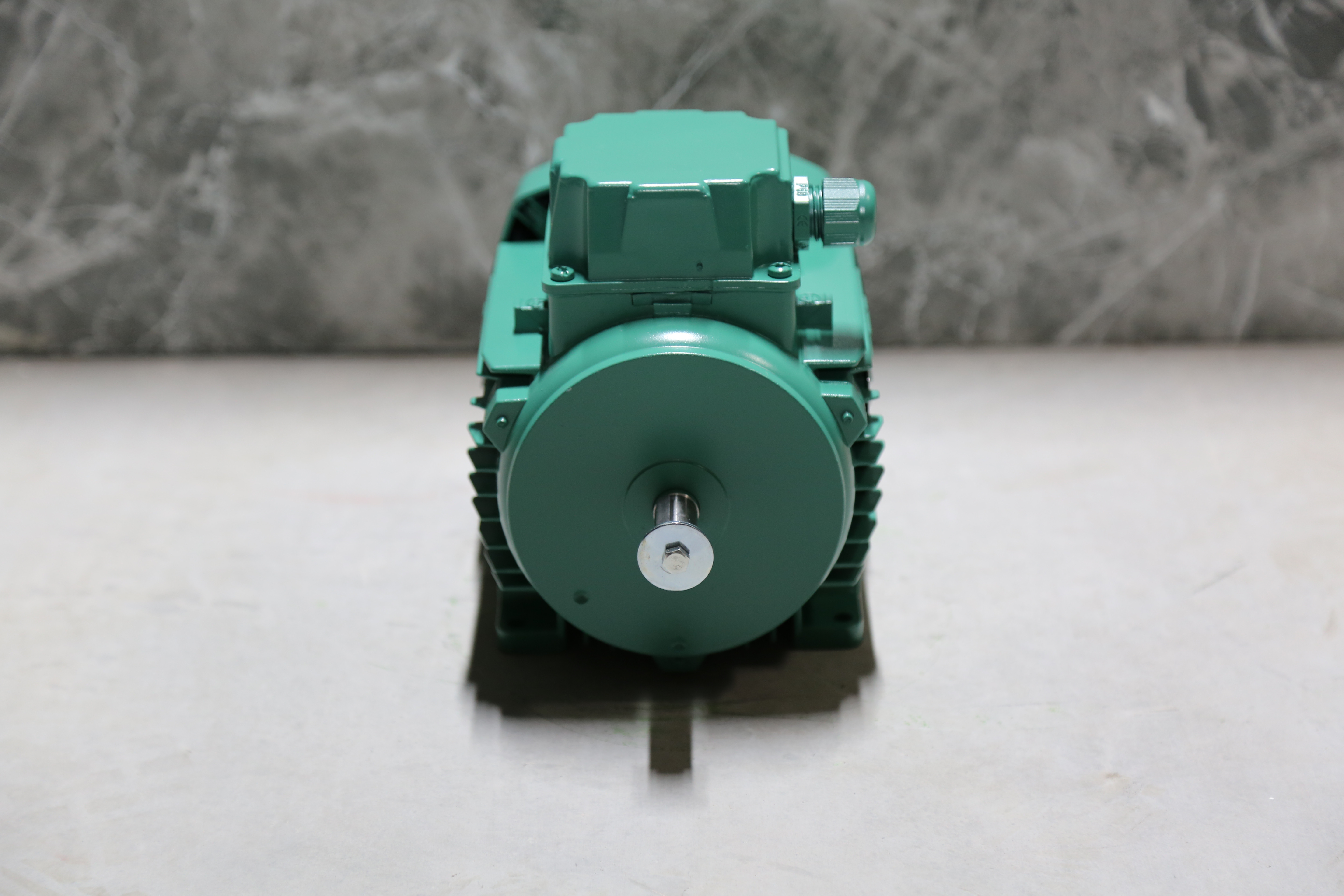 Nidec Leroy Somer - REF-002